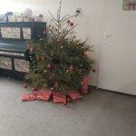 Vánoční nadílka, karneval... (Leden)