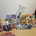 Pomáháme zvířátkům v útulku