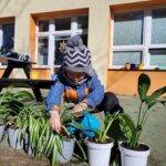 Sázíme a přesazujeme rostliny